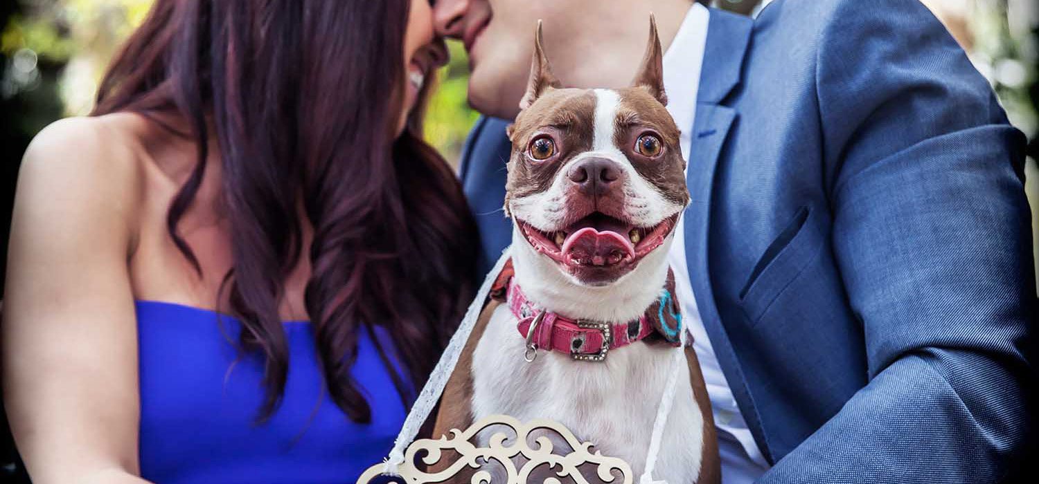 Tampa Engagement Photography